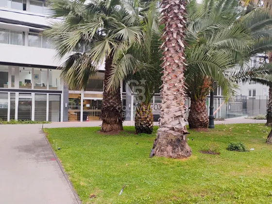 Local Comercial De 17 M2 En Av. Rondizzoni