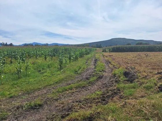 Terrenos En Venta Para Siembra En Álvaro Obregón