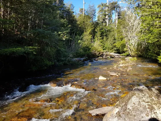 Z O N A S U R . C L Río Y Laguna Campo Orilla Camino 75 Hás