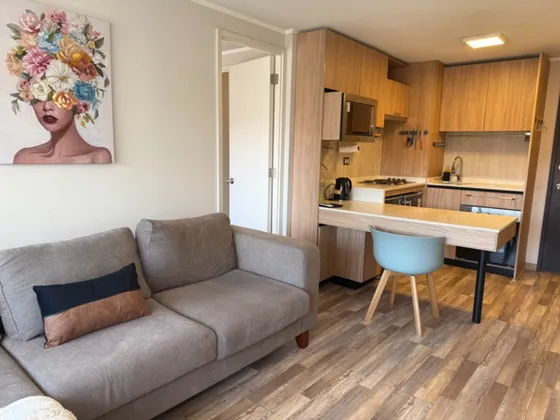 Departamento En Santiago