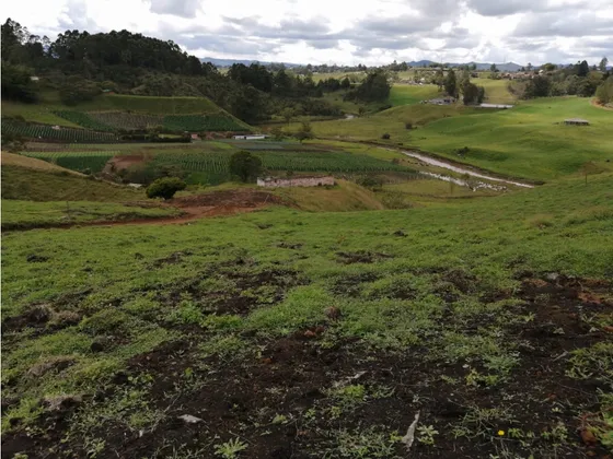 Lote En Venta En El Sector La Primavera Marinilla
