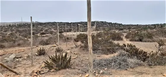 Sector La Puntilla, La Herradura