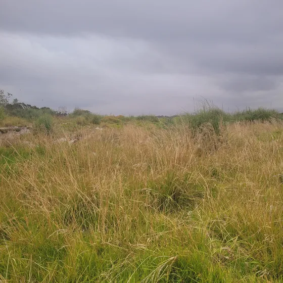 Venta Terreno Mar De Plata Zona Puerto