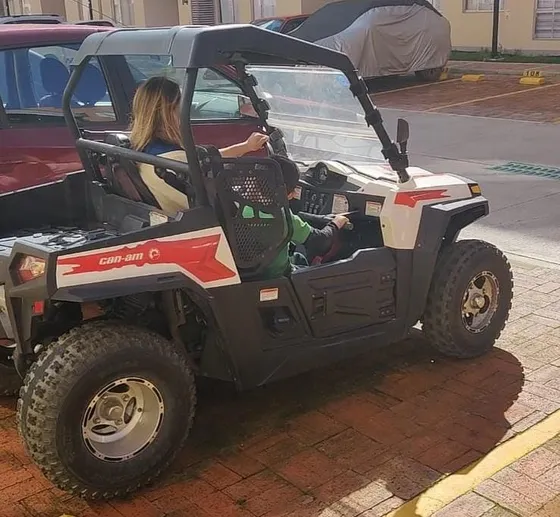 Mini Buggie, Motor Honda 250 Cc, 1300 Kms, 170 Horas De Uso.