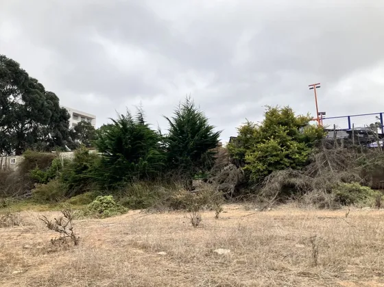 Lote De 1.646 M2 Sector El Milagro La Serena Sur