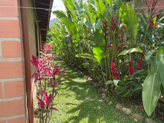 Finca En Venta En Copacabana Ancon. Cod V10796