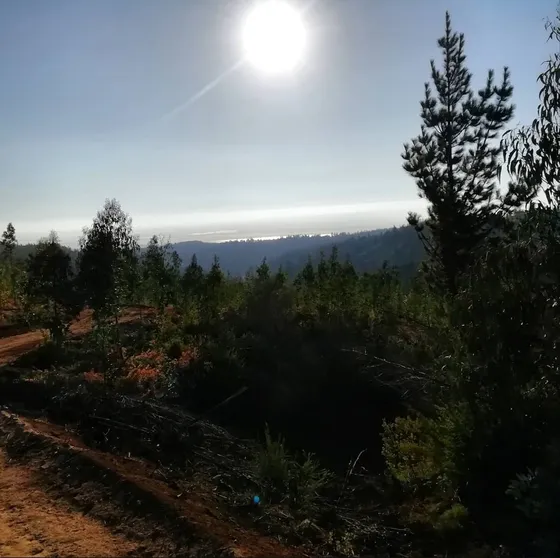 Terreno Puertecillo 