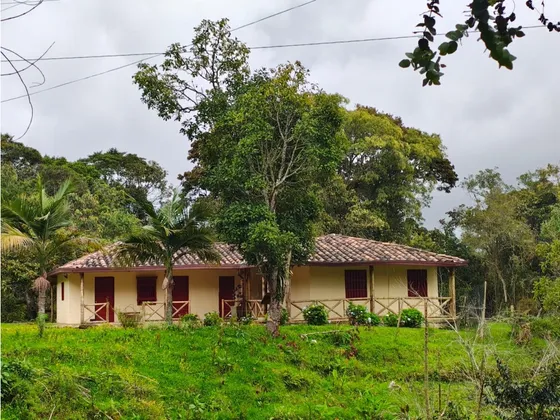 Casa Finca En Alto De Palmas, Pantanillo, Envigado