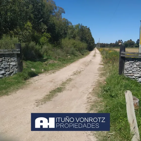 Chacra De 2 Hectáreas A La Venta En Blancarena - Colonia