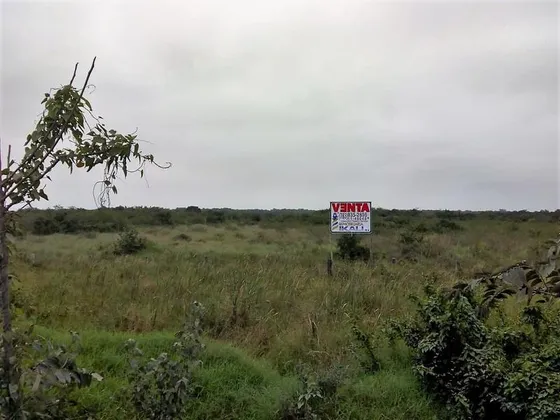 Venta Terrenos 15.3 Has  Zona Industrial Tuxpan Veracruz