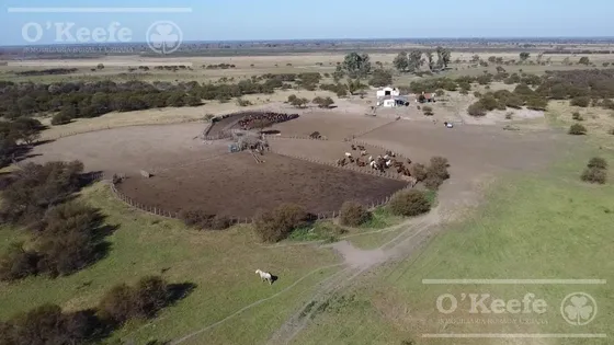 Campo En Venta De 13.747 Has. Islas De Ibicuy. Entre Rios