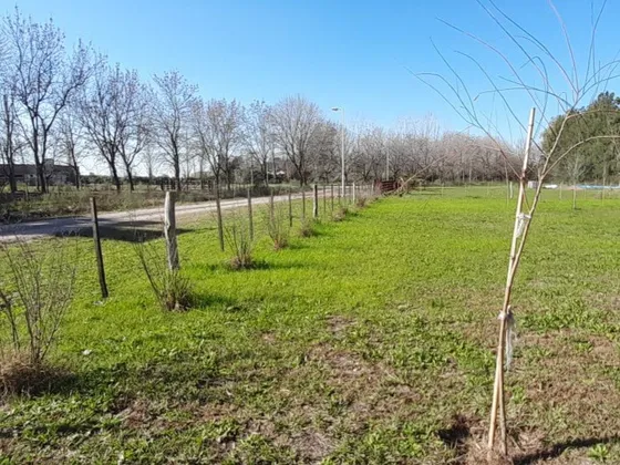 Terreno / Lote Chacra  En Venta De 2000 M2 Ubicado En Villa Ruiz