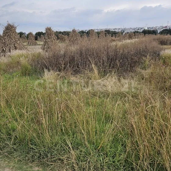 Venta De Terreno Rustico En San Juan Tulcingo, Puebla, Puebla.