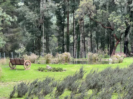 Rancho El 7