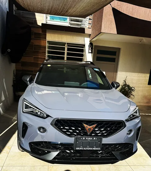 Cupra Formentor 2.0 Vz 310hp 4wd Dsg7