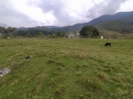 Lote Terreno De 11.075m2 En Venta Santa Elena El Cerrito Valle