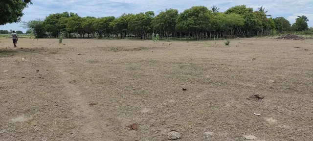 Vendo Un Terreno De 118 A 3,500 Pesos El Metro 
