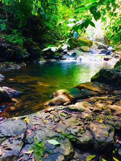 Finca De 22 Hectáreas, Área Montañosa.