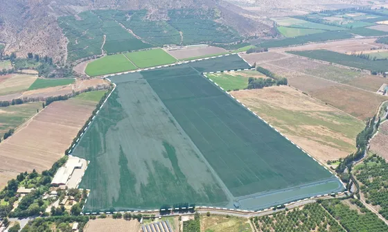Venta -  Catemu - Terreno - Fundo Las Marias