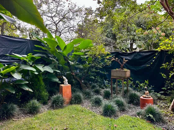 Rentando Airbnb Poblado. 8ha. 8ba. Amoblado