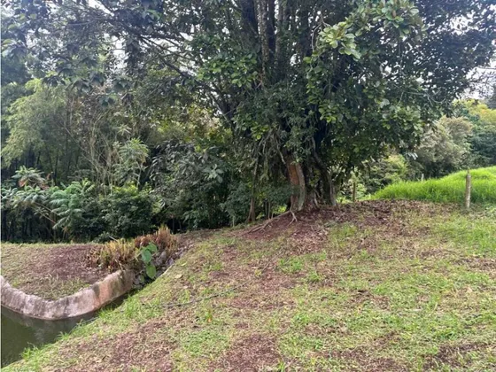 Venta Lote El Arenillo Manizales