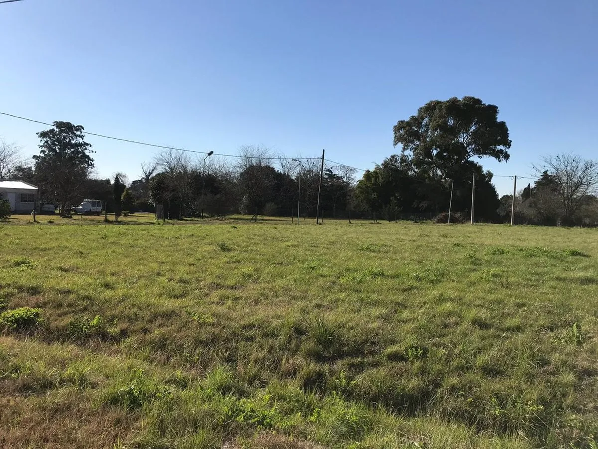 Land Plots for Sale in Villa Elisa