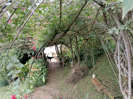 Venta De Finca Autosostenible En Palmitas, Vereda Urquita, Medellín