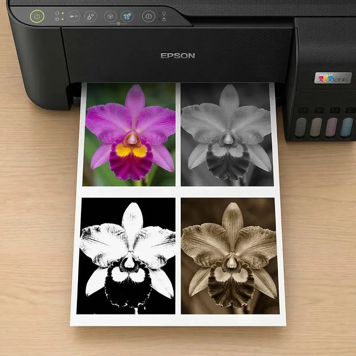 Impressora Multifuncional Cor Epson Ecotank L3250 Preto 127/220v