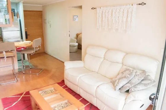 Arriendo Depto Amoblado 2 Habitaciones Lira (5341)