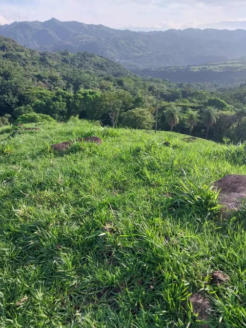 Hermosa Finca. En Zona Muy Tranquila.