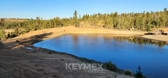 Venta De Parcela Con Laguna Natural En Cauquenes 9691m2