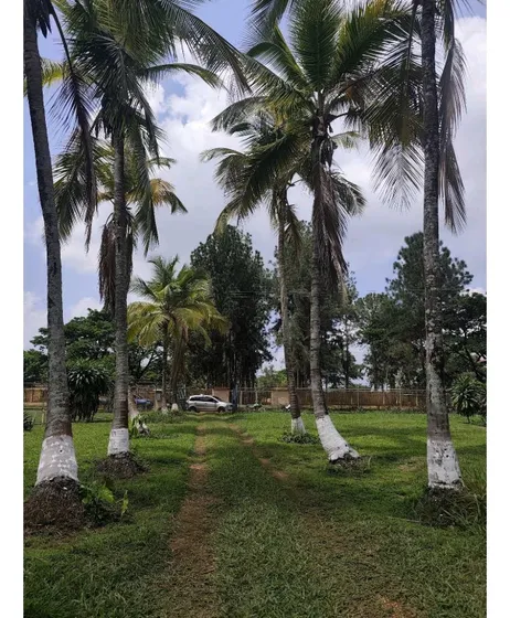 Finca En Venta, Barrera, Sabana Del Medio