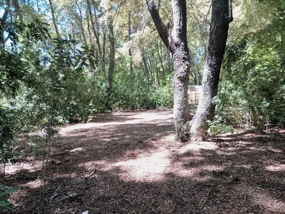 2 Hectareas En Venta, La Placeta, San Clemente