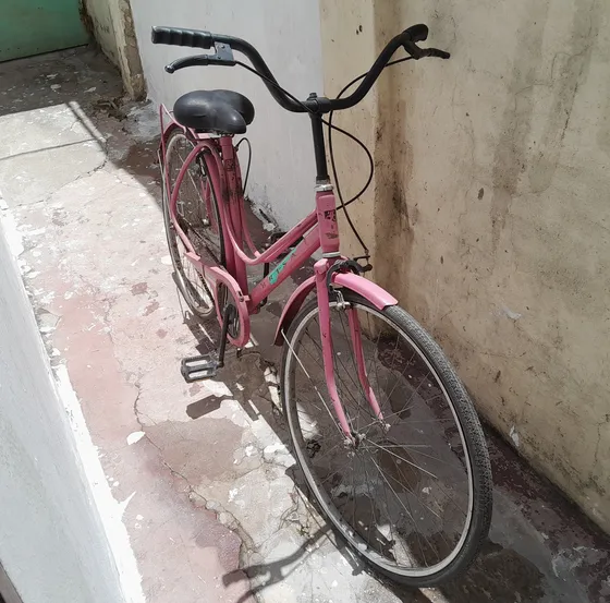 Bicicleta Brisa, De Dama Color Rosa Buen Estado