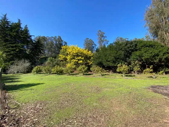 Terreno De 4 Hectáreas, Única Con Tranque Propio De 5.000 M2