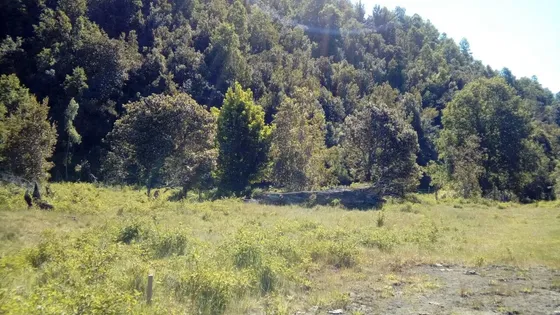 Licanray 7745 M2, Luz, Vertientes, 4 Minutos Lago Calafquen