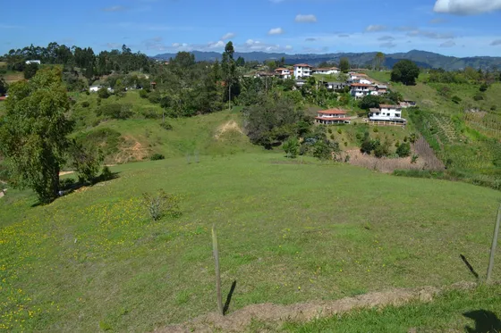 Lotes En Venta  Guarne Cerca A La Autopista Medellin - Bogotà Desde 240 Millones