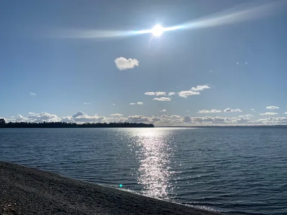 Oportunidad Única! Parcela En Venta Orilla Del Lago Puyehue