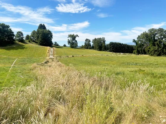 Lotes De Terreno Los Chilcos / La Unión