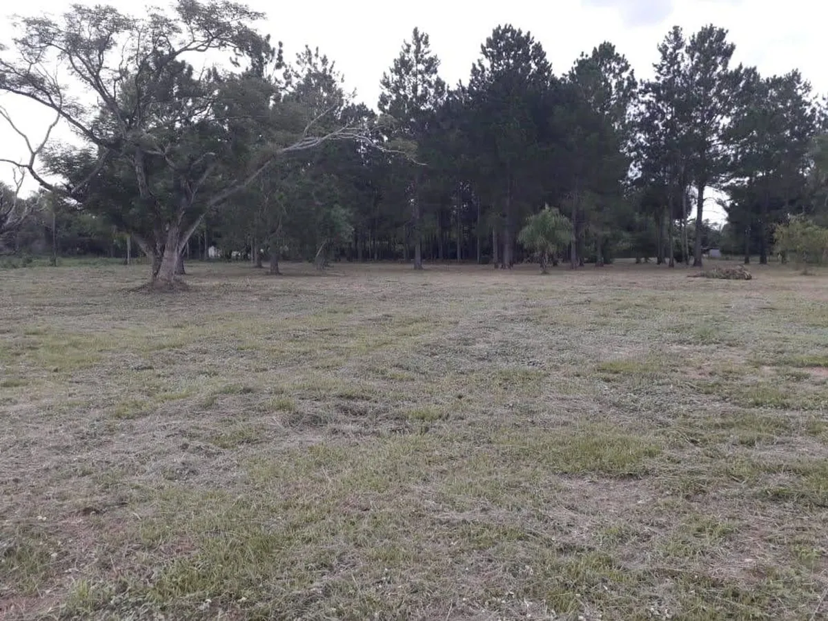 Venta De Terreno En Corrientes
