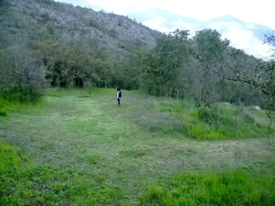 Bellísima Área Natural. 118 Hás. Subdividido. Oportunidad!!