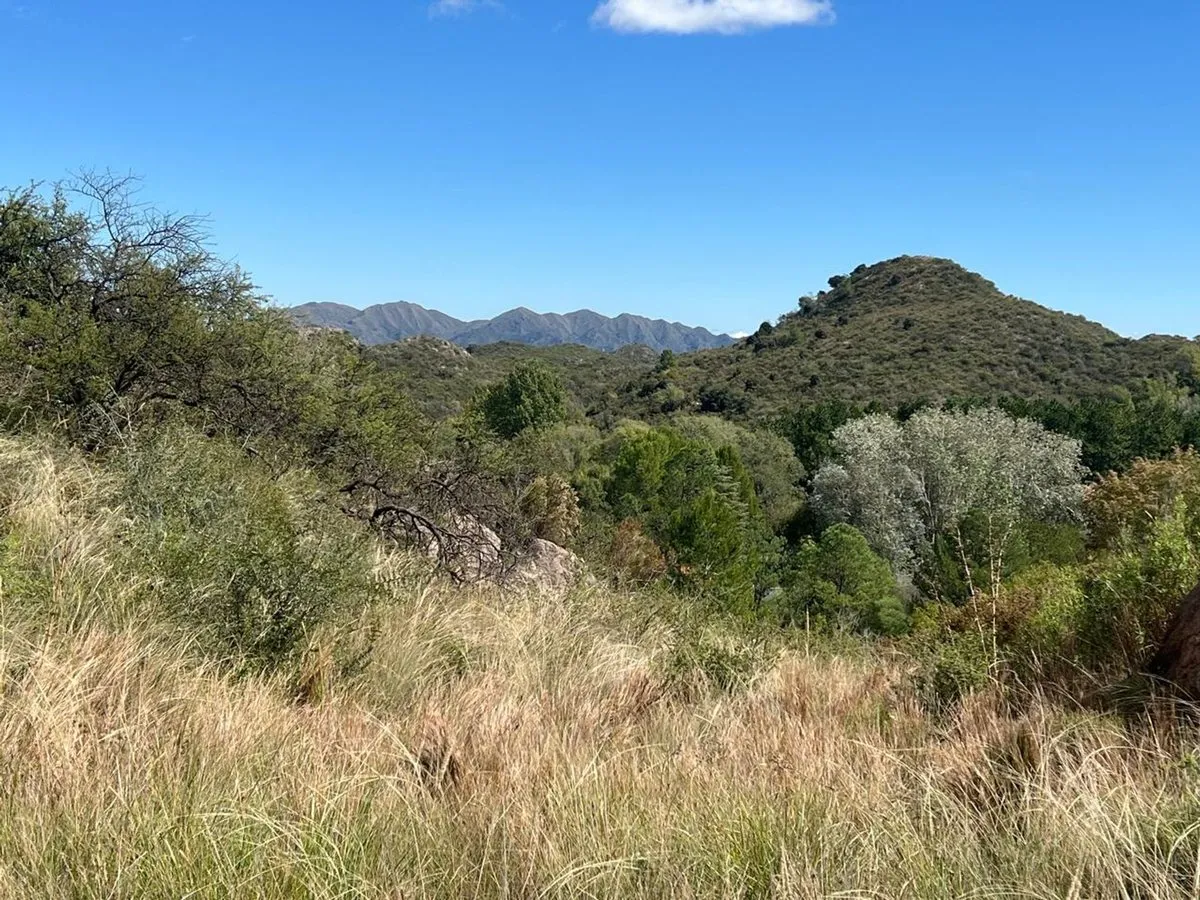 Land for Sale in Altura Campo La Sierra