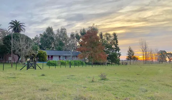 130 Has - Campo En Venta En Chascomus - Ideal Cria De Caballos