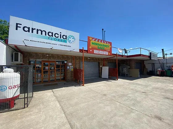 Alonso De Ercilla Entre Palermo Y Las Canoas