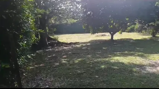 Venta En Vía San Jerónimo A Santa Fe De Antioquia.