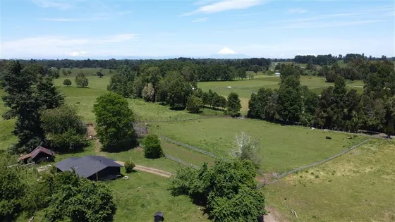Agrícola En Venta En Puyehue