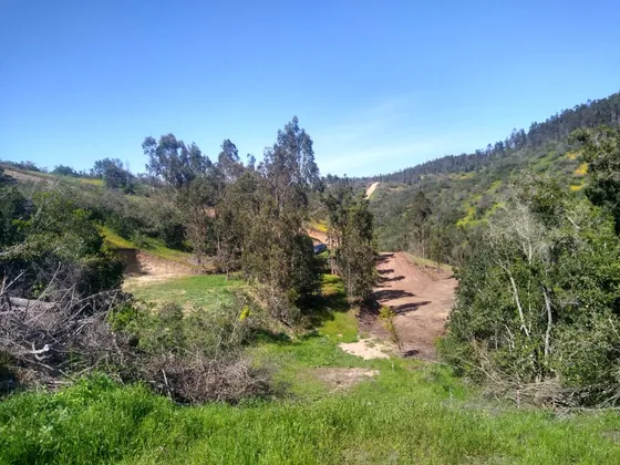 Hermoso Terreno De 5000 Mts2