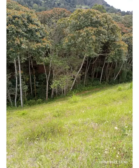 Lote En Venta En La Ceja - Vereda San Nicolás 