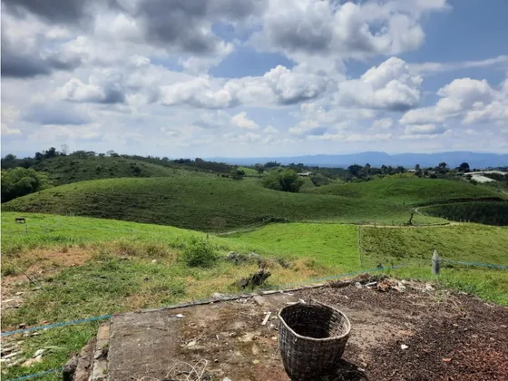 Venta Finca Ganadera Filandia Via Quimbaya - 41 Cuadras