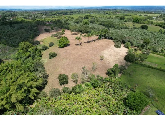 Lote En Venta Via Tebaida Pueblo Tapao (39.000 Metros Cuadrados)